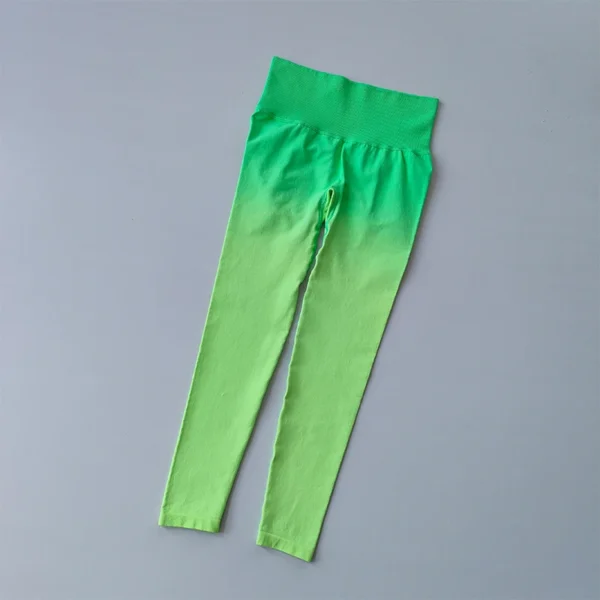 Seamless Gradient Leggings Elvaio