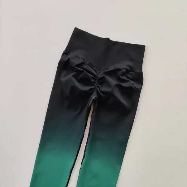 Seamless Gradient Leggings Elvaio