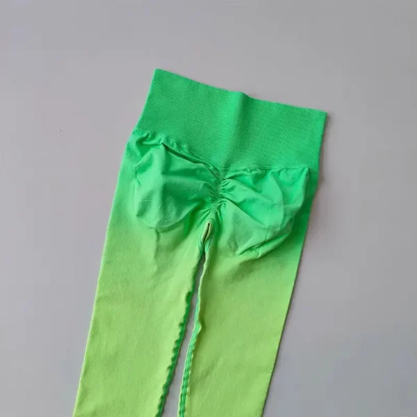 Seamless Gradient Leggings Elvaio