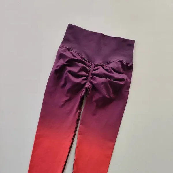 Seamless Gradient Leggings Elvaio