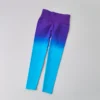 Seamless Gradient Leggings Elvaio